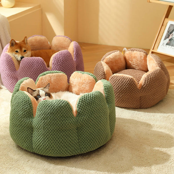 Large comfy dog clearance beds